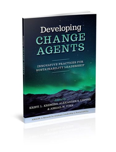 DevelopingChangeAgents-3D-copy-min-768x1011